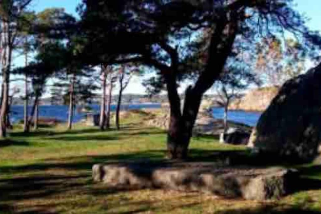 Idyllisk Lite Anneks Med Enestaende Uteplass Larvik Eksteriør billede